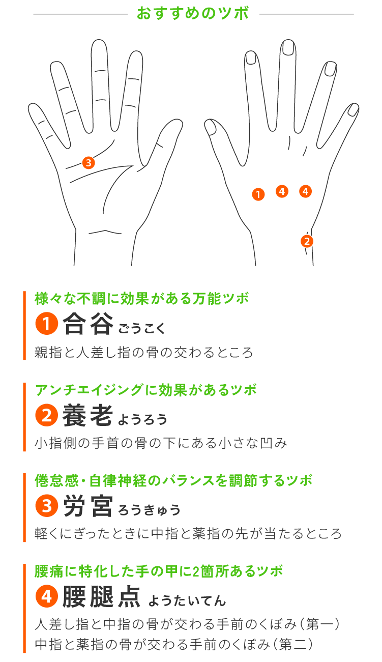 シニアのツボイメージ